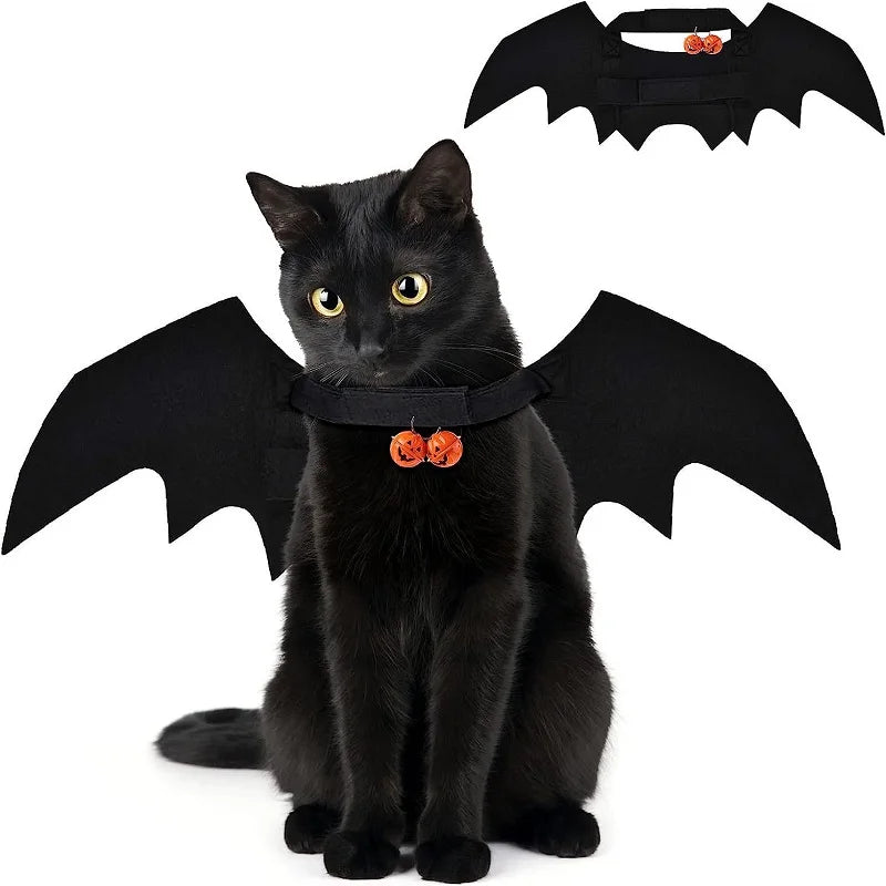 Black cat wearing the bat wings (real product photo)